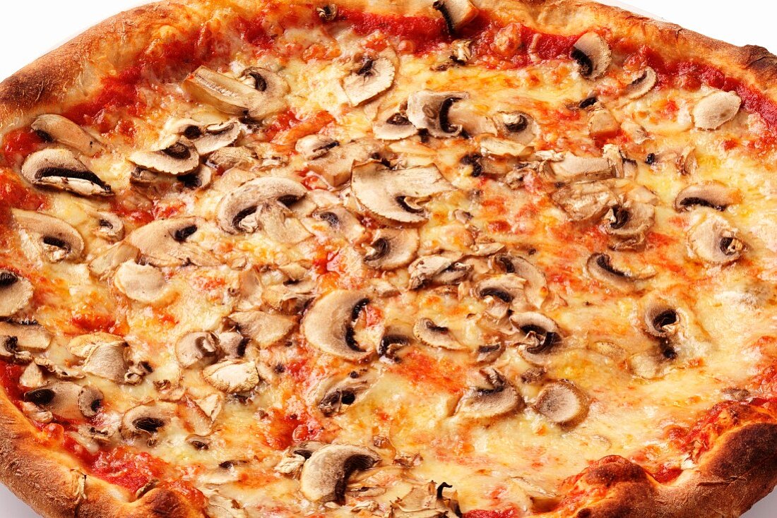 A mushroom pizza