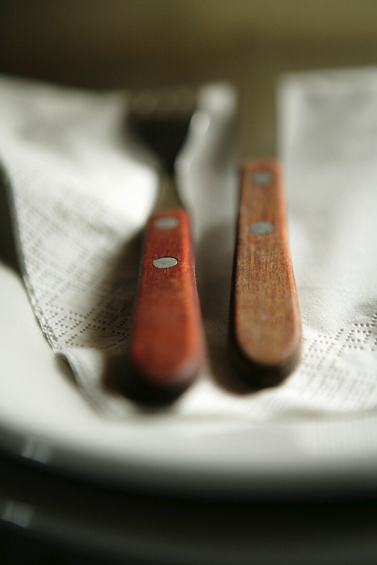 Vintage cutlery with wooden handles