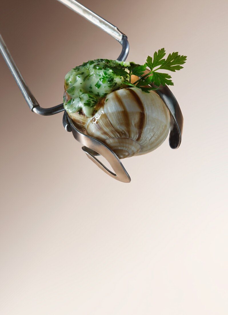 A stuffed snail being picked up with a pair of tongs