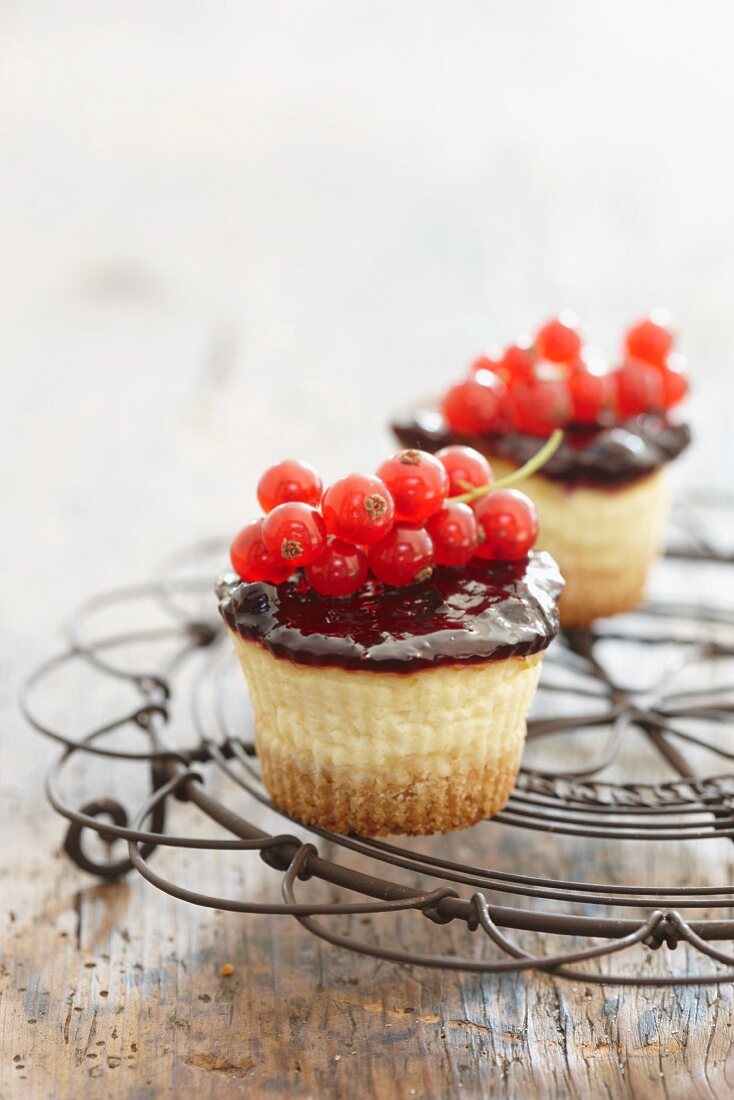 Cupcakes mit roten Johannisbeeren