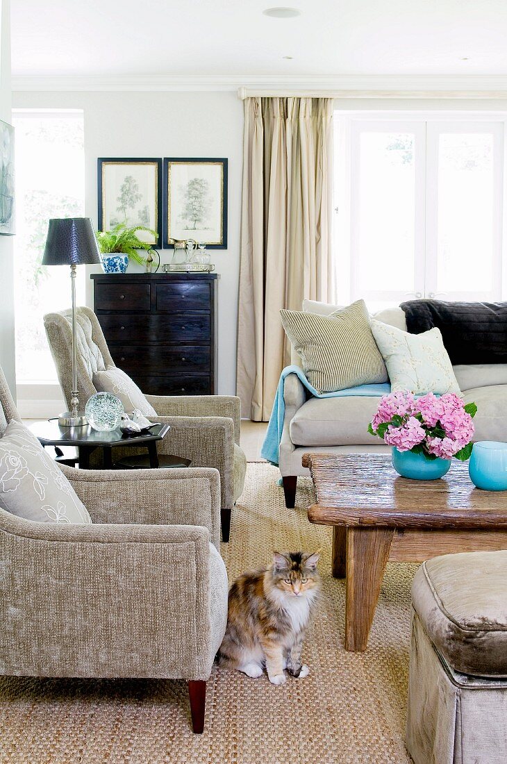 Upholstered furniture and rustic coffee table in traditional interior
