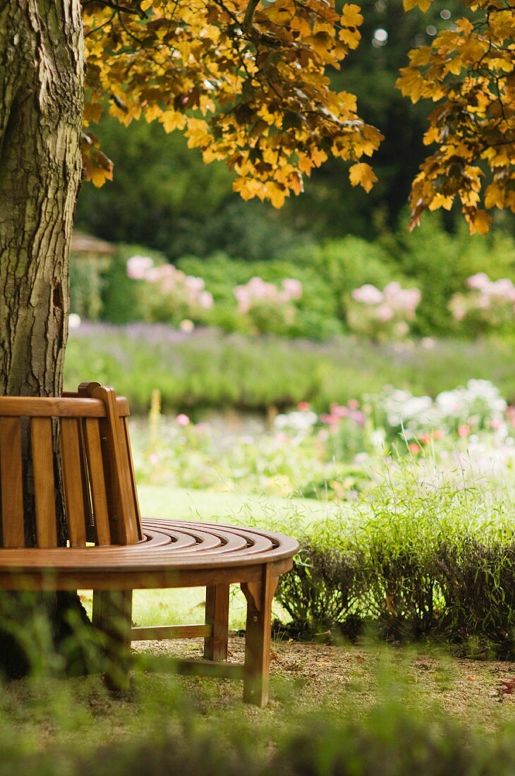 Circular wooden bench encircling tree trunk and flowering plants in garden