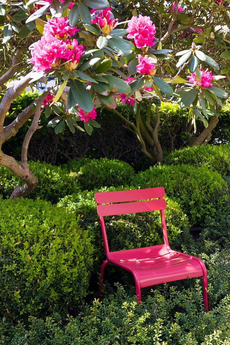 Pinkfarbener Gartenstuhl zwischen Büschen und blühendem Baum
