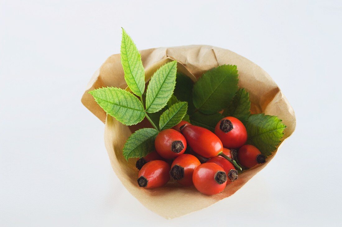 Rose hips in a paper bag