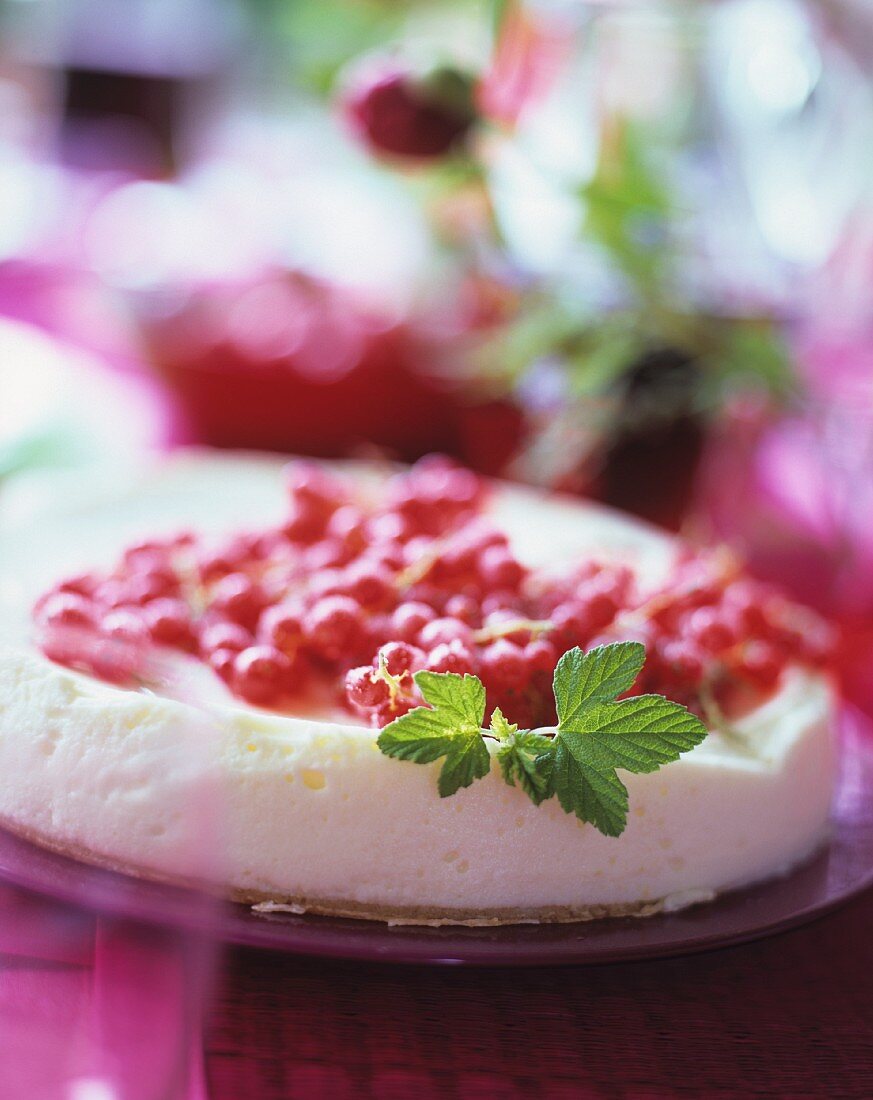 Gekühlter Käsekuchen mit roten Johannisbeeren