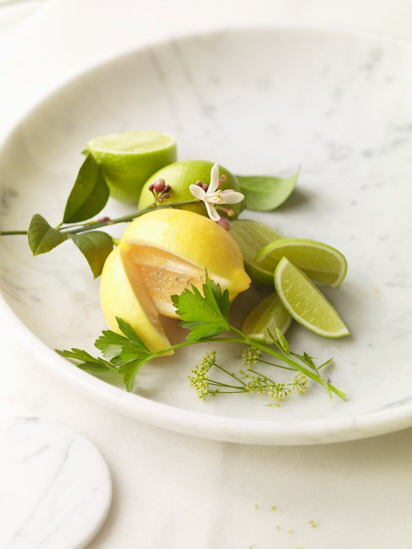 Meyer Lemon and Limes on Marble Plate with Lemon Blossom Branch