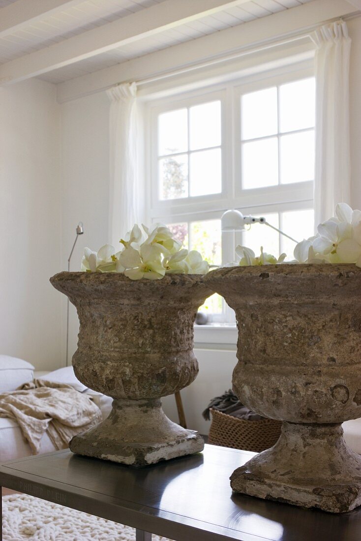 Antike Pflanzengefässe aus verwittertem Stein auf modernem Couchtisch im Wohnzimmer mit traditionellem Flair