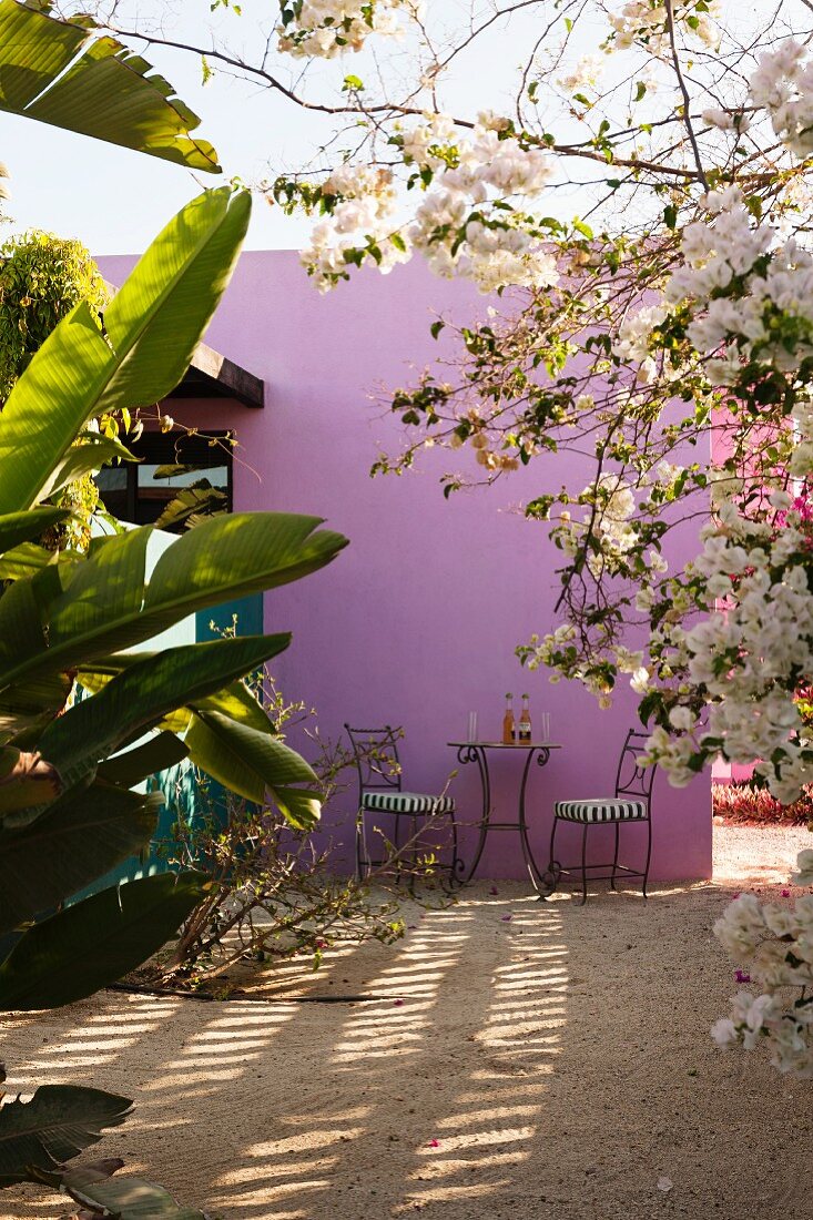 Table for two in sandy courtyard seen through palm and white bourgainvillea