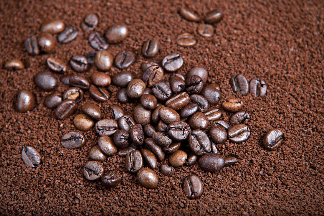 Kaffeebohnen auf Kaffeepulver