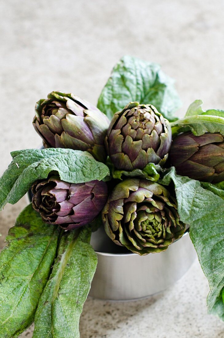 Artichokes with leaves