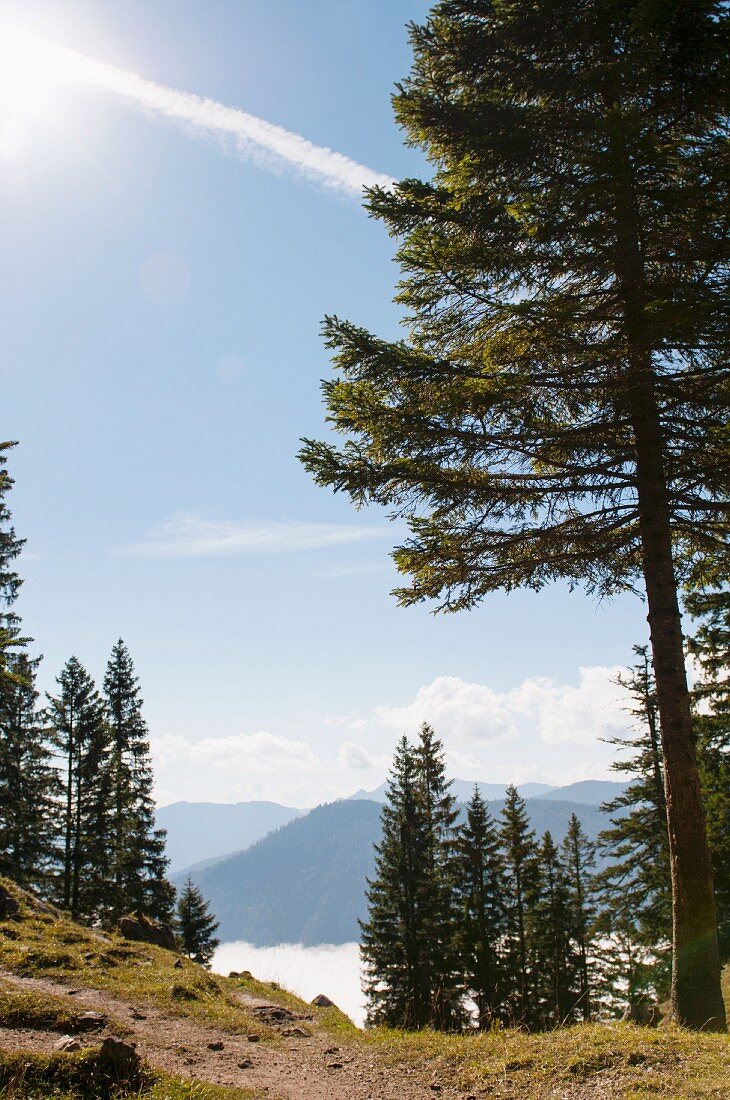 View from a mountain trail of mountain scenery (Wendelstein, Germany)