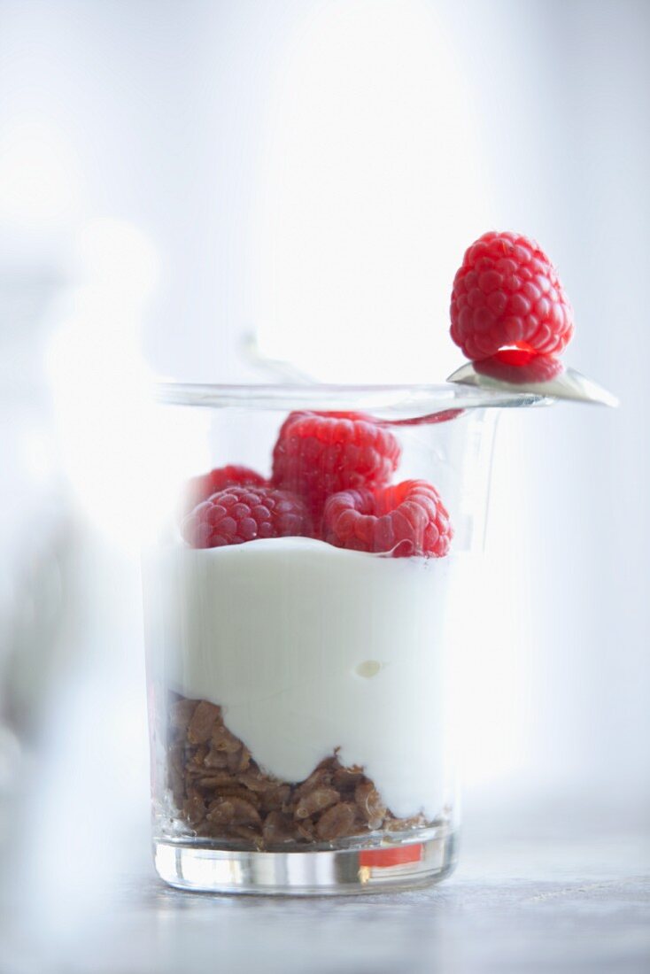 Quarkspeise mit Himbeeren