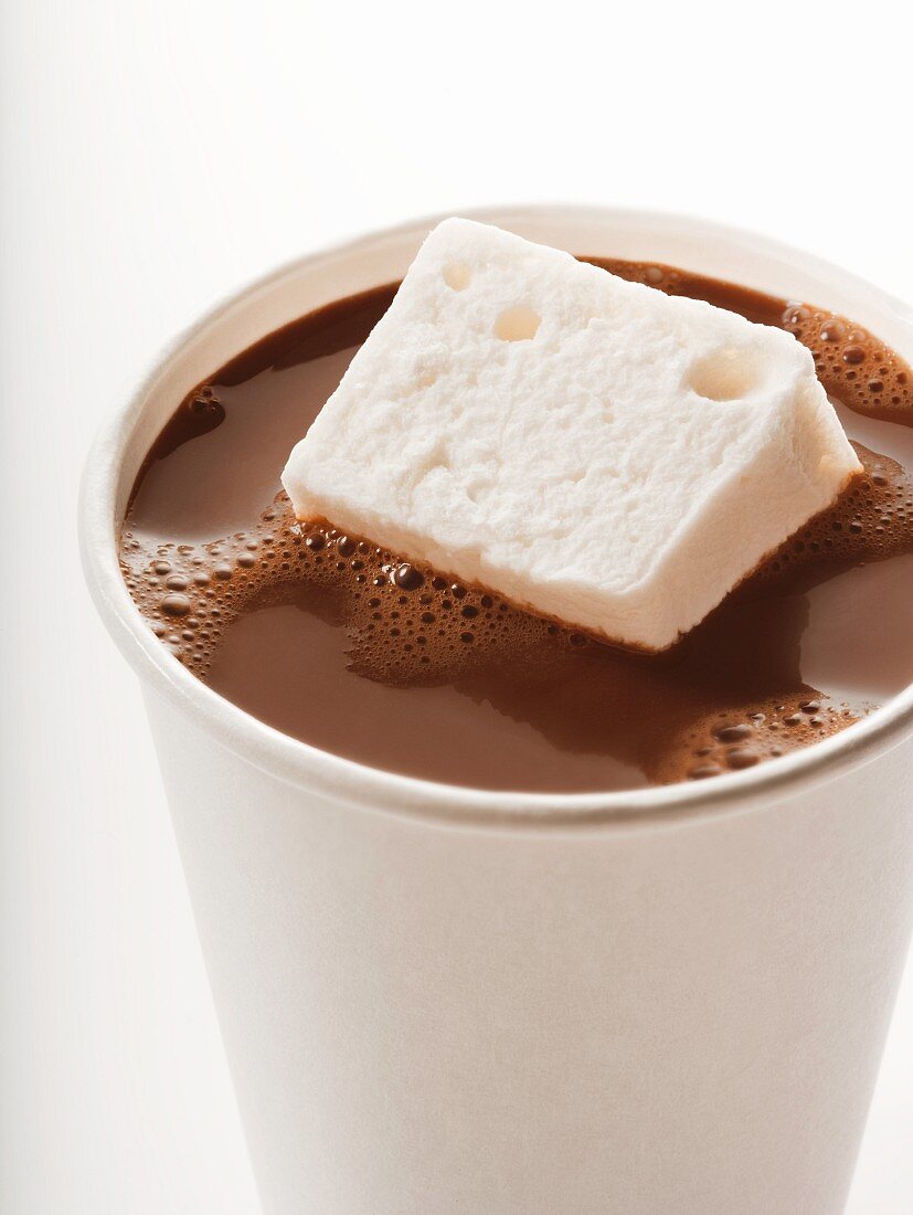 Cup of Hot Chocolate with a Marshmallow