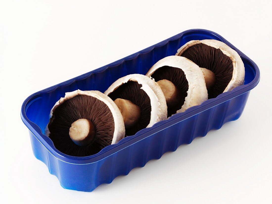 Large mushrooms in a blue plastic container