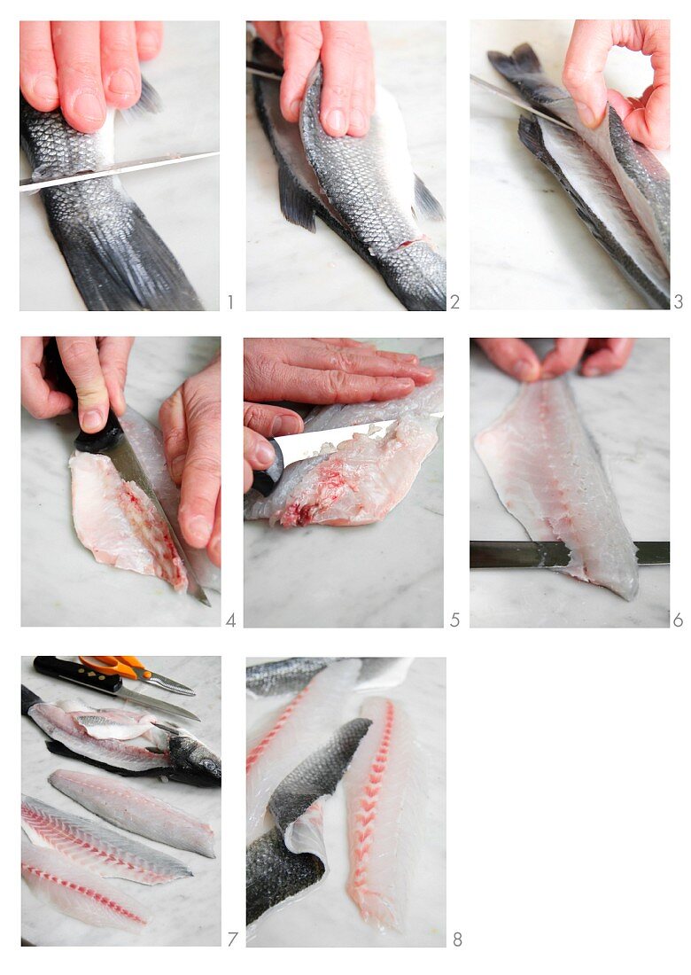 Filleting fish