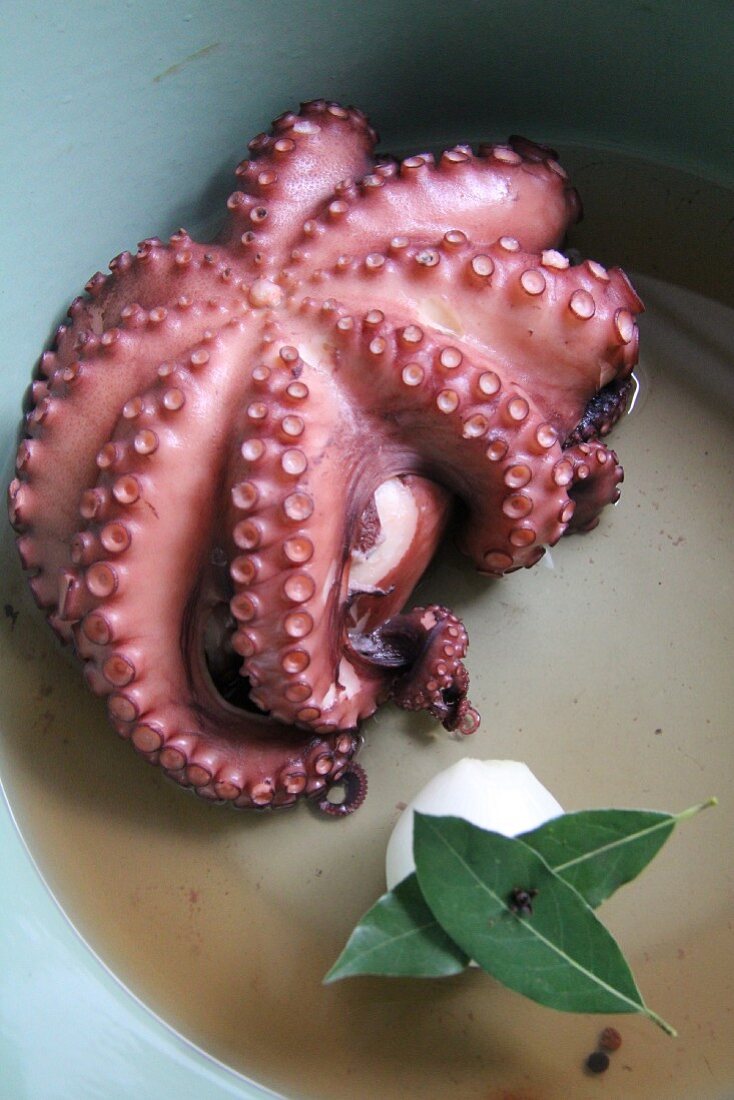 Marinated octopus