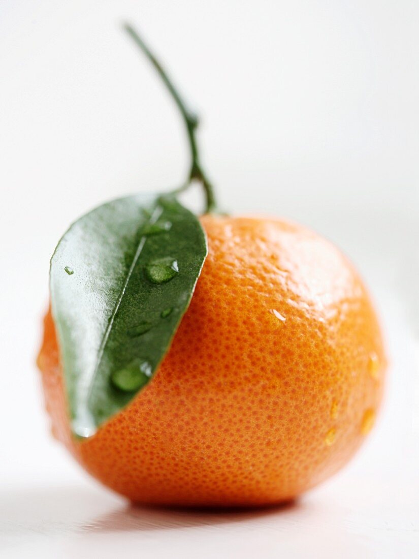 A clementine with a stem and a leaf