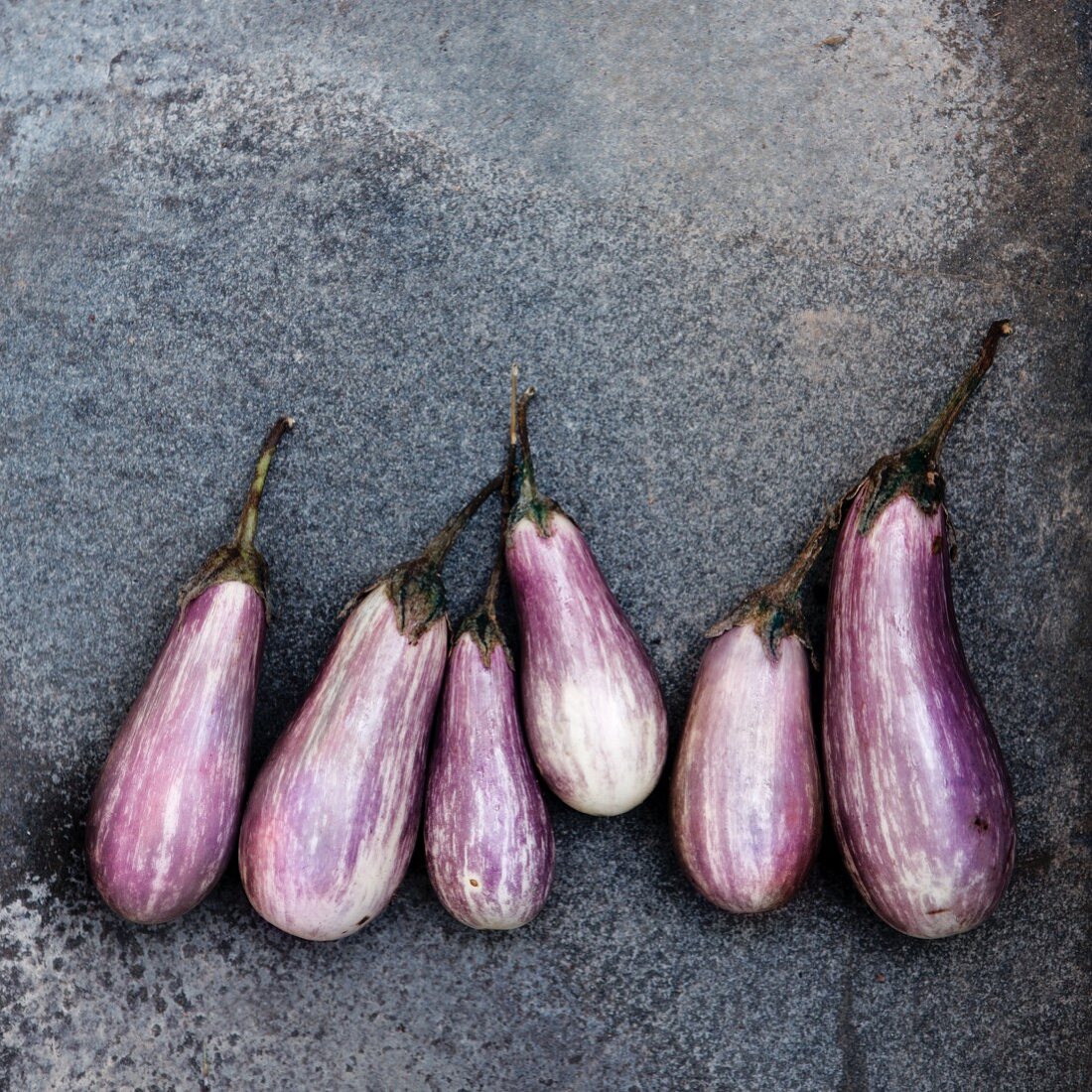 Baby Eggplant in a Row on Stone; From Above