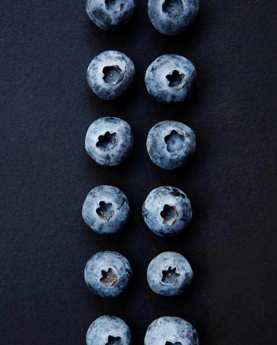 Two Rows of Blueberries on a Black Background