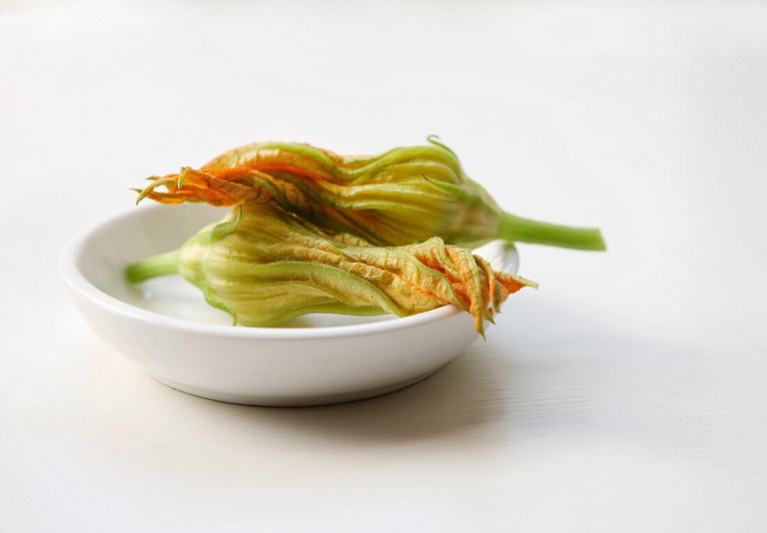 Two Squash Blossoms on a White Bowl