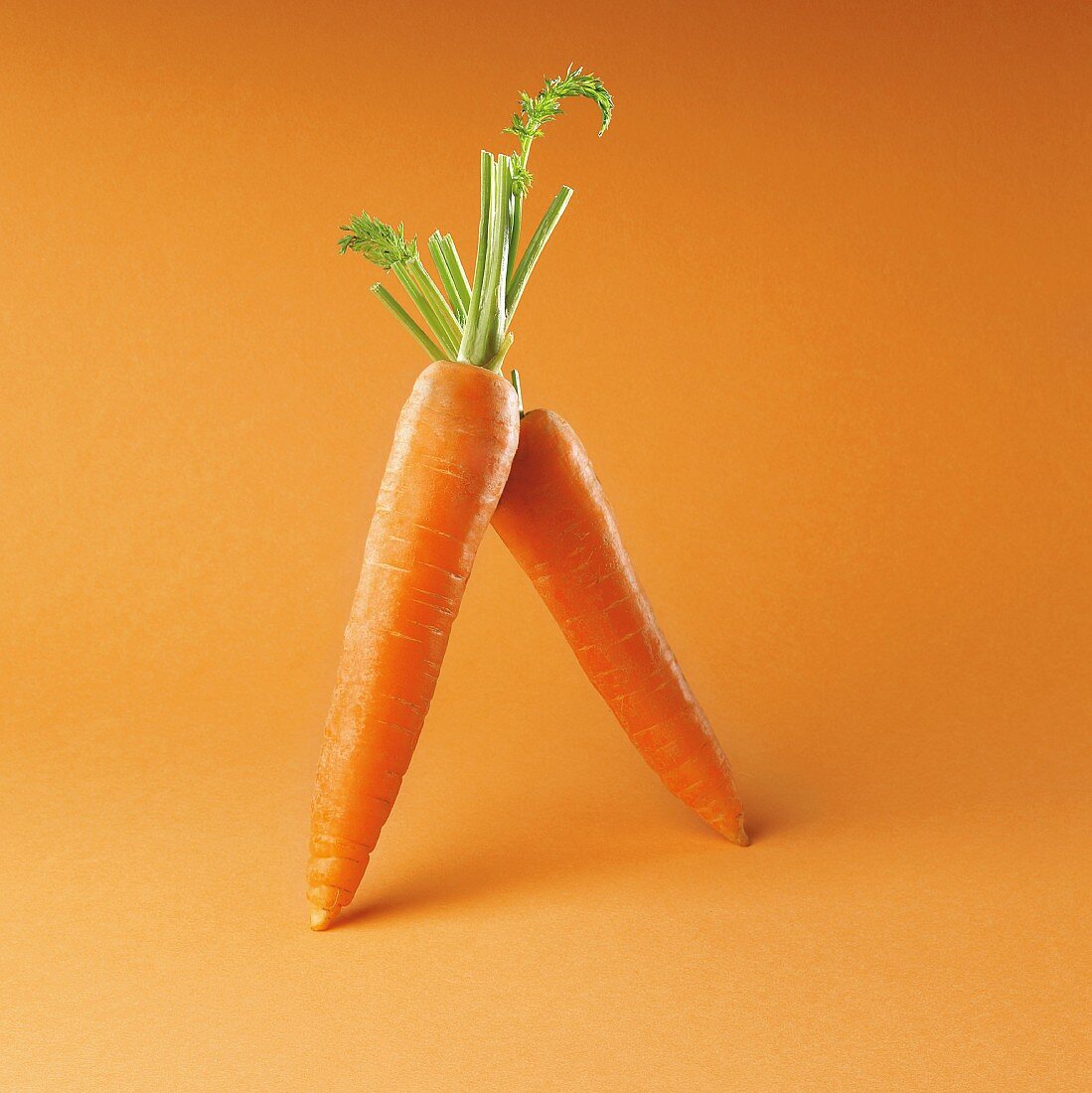 Two carrots