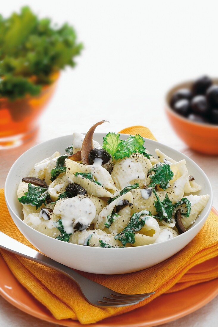 Conchiglie pasta with olives and herbs