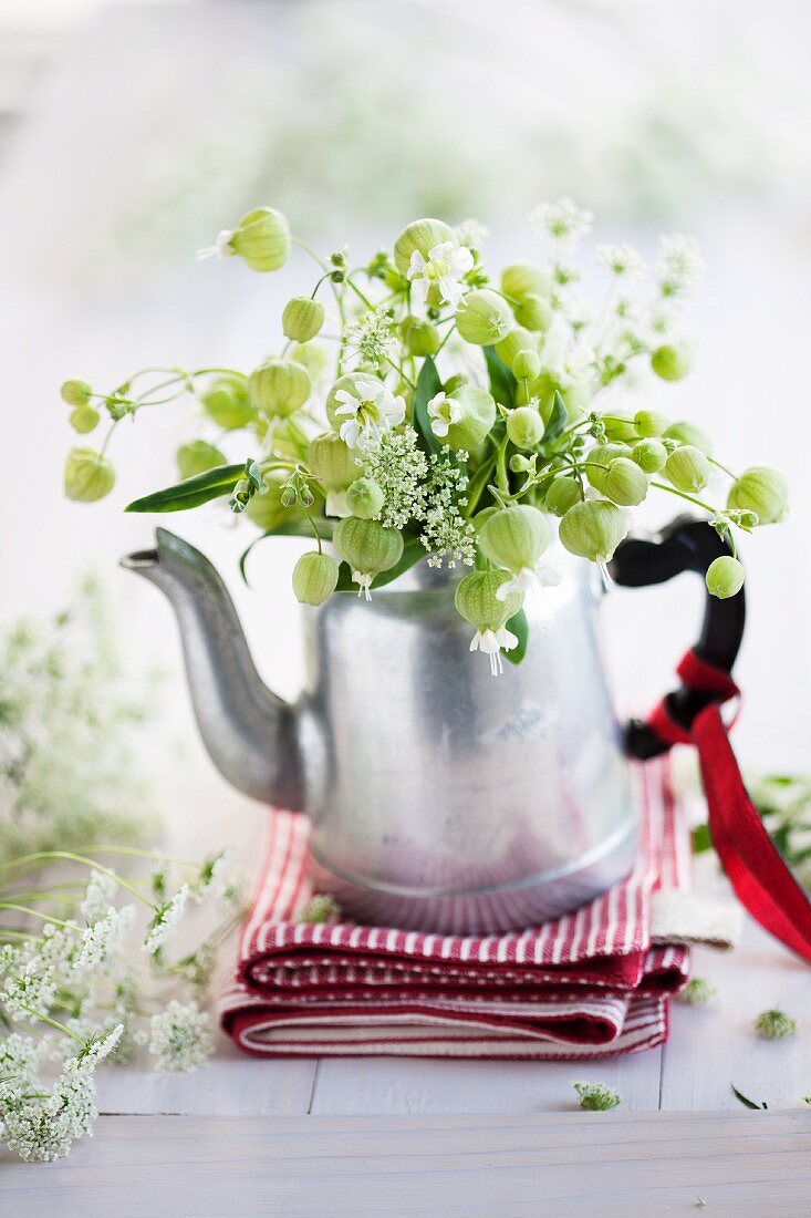 Strauß aus Taubenkropf-Leimkraut (Silene vulgaris)