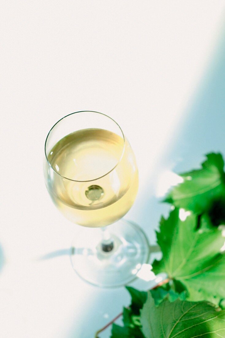 Glass of White Wine