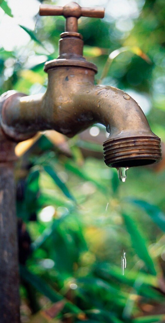 Tropfender Wasserhahn