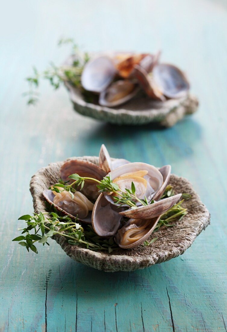 Clams in white wine, in a fossilised scallop shell