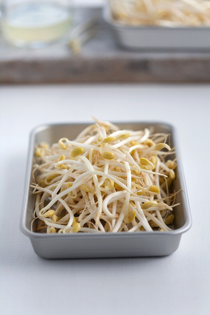Bean sprouts in a bowl