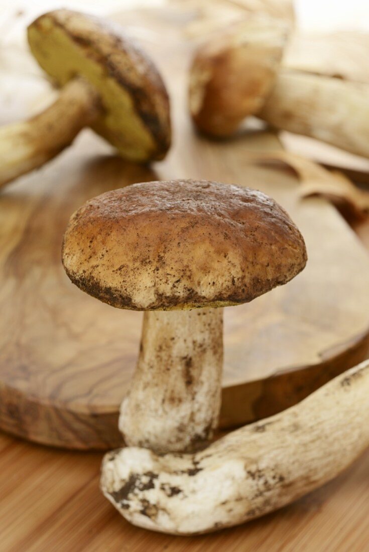 Freshly picked porcini mushrooms on and in front of a rustic wooden board