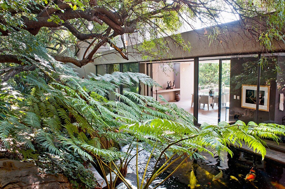 South-African garden and view into interior of modern bungalow