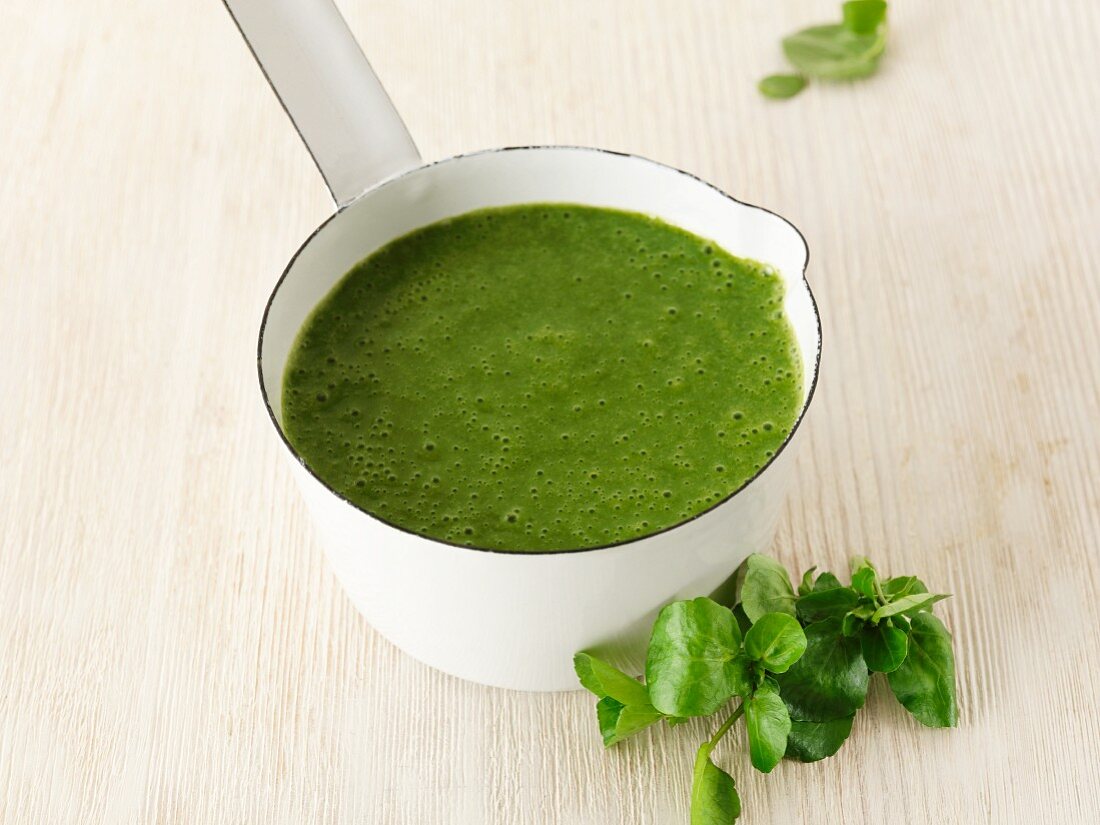 Bittercress soup in a pot