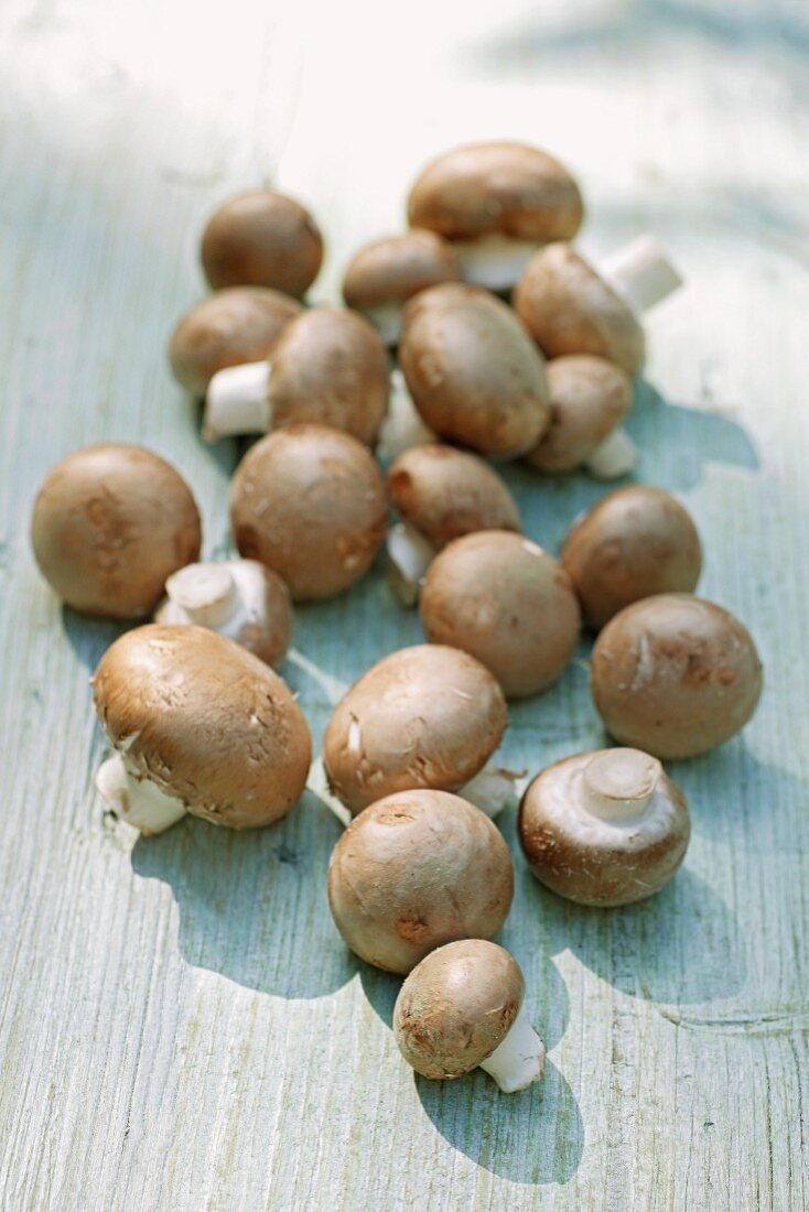 Frische braune Champignons auf Holzuntergrund