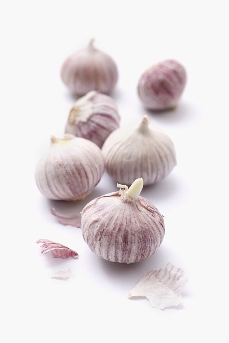 Asian garlic