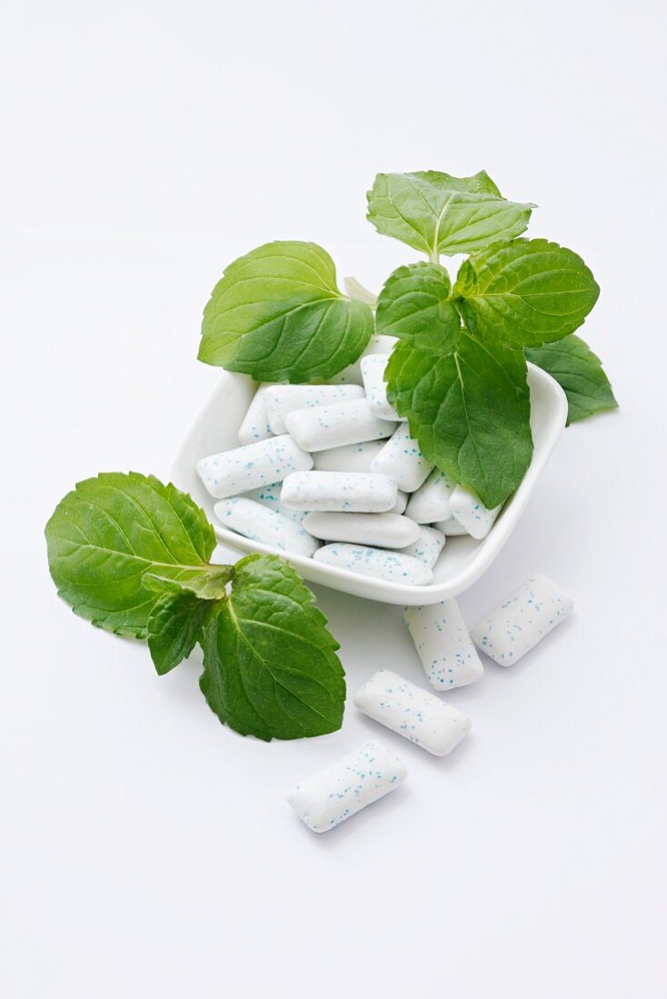 Mini chewing gum and fresh mint