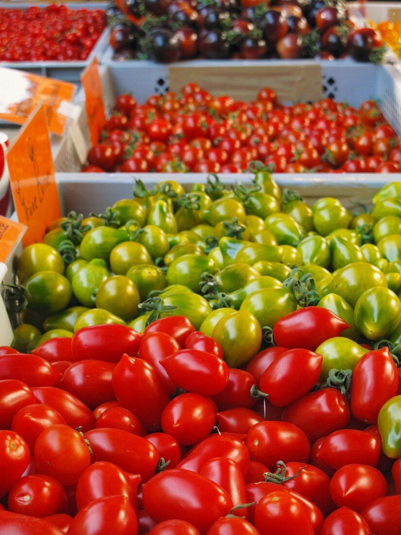 Various tomatoes on a market stand