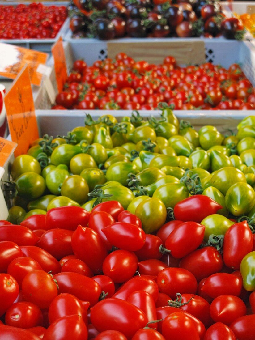 Verschiedene Tomatensorten auf dem Markt