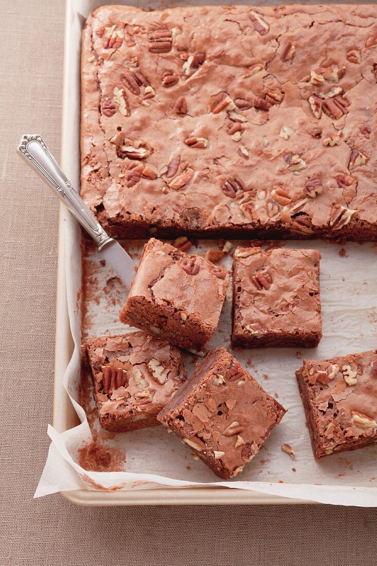 Blechkuchen mit Pekannüssen und Schokolade