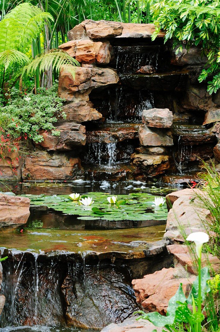 Waterfalls and flowering water lily in pool
