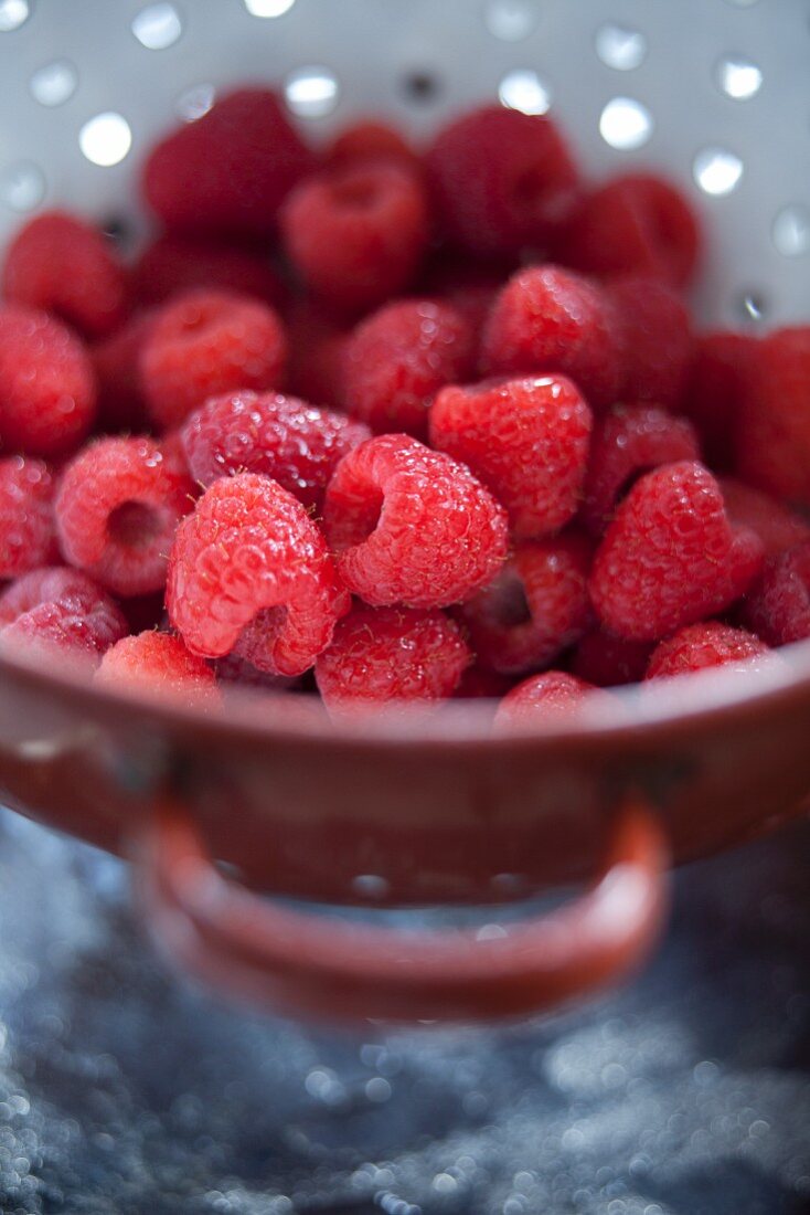Fresh Red Raspberries in a Small Strainer