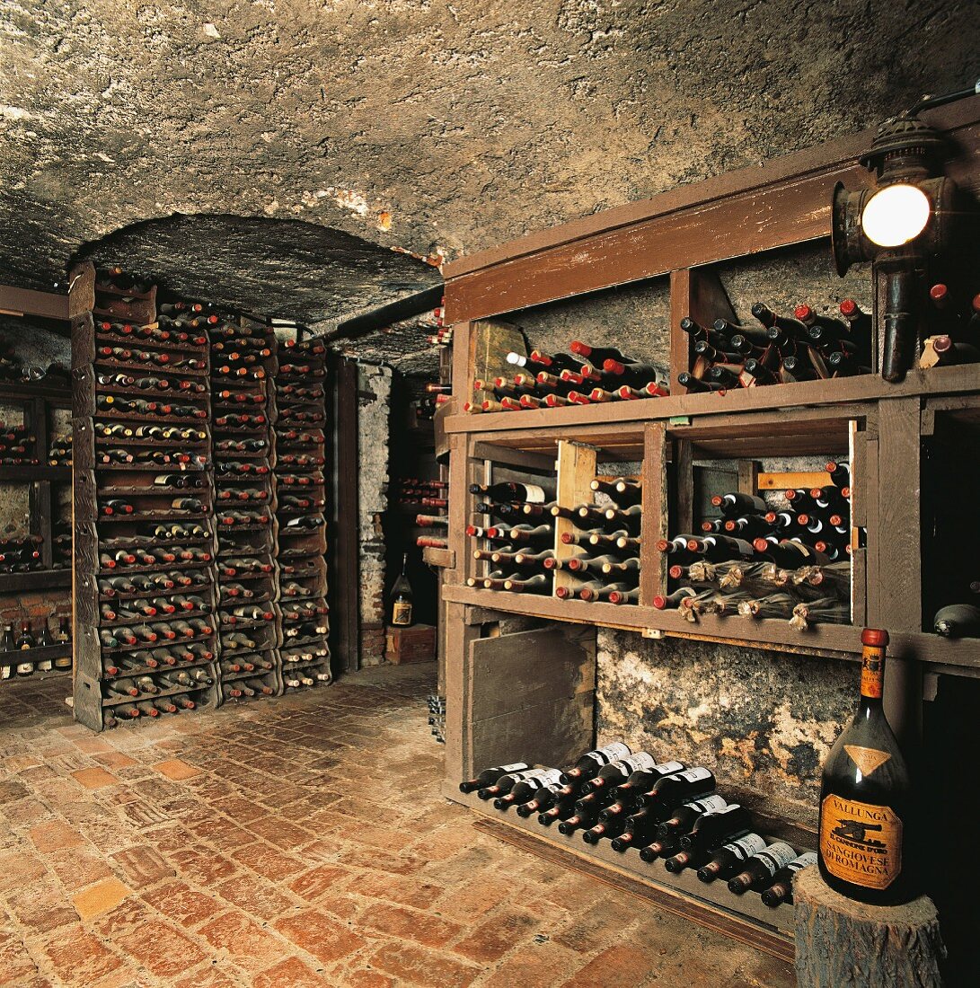 Weinflaschen lagern im Weinkeller (Italien)