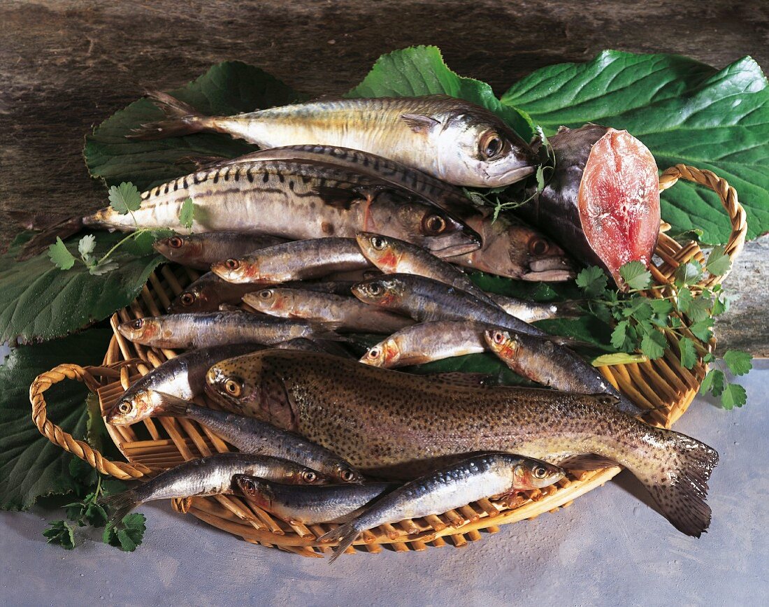 Various fish in a basket