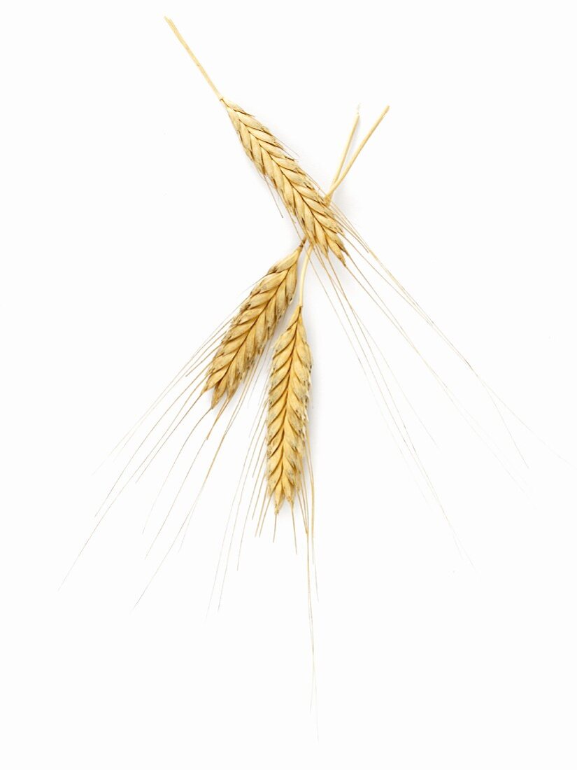 Three ears of wheat
