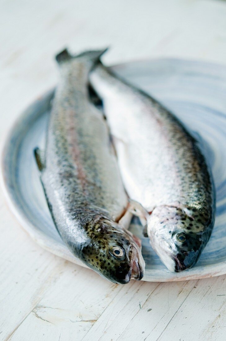 Two fresh trout on a ceramic plate