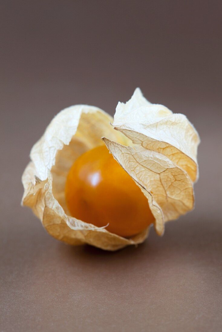 Physalis mit Hülle