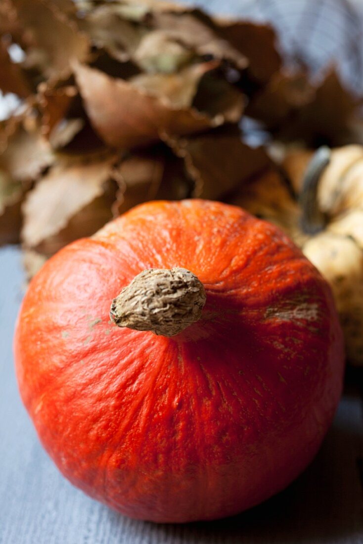 A Hokkaido pumpkin, an ornamental pumpkin and bay leaves