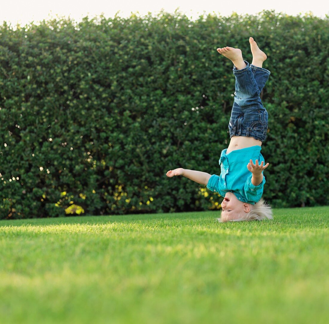 Little boy doing a headstand on garden lawn