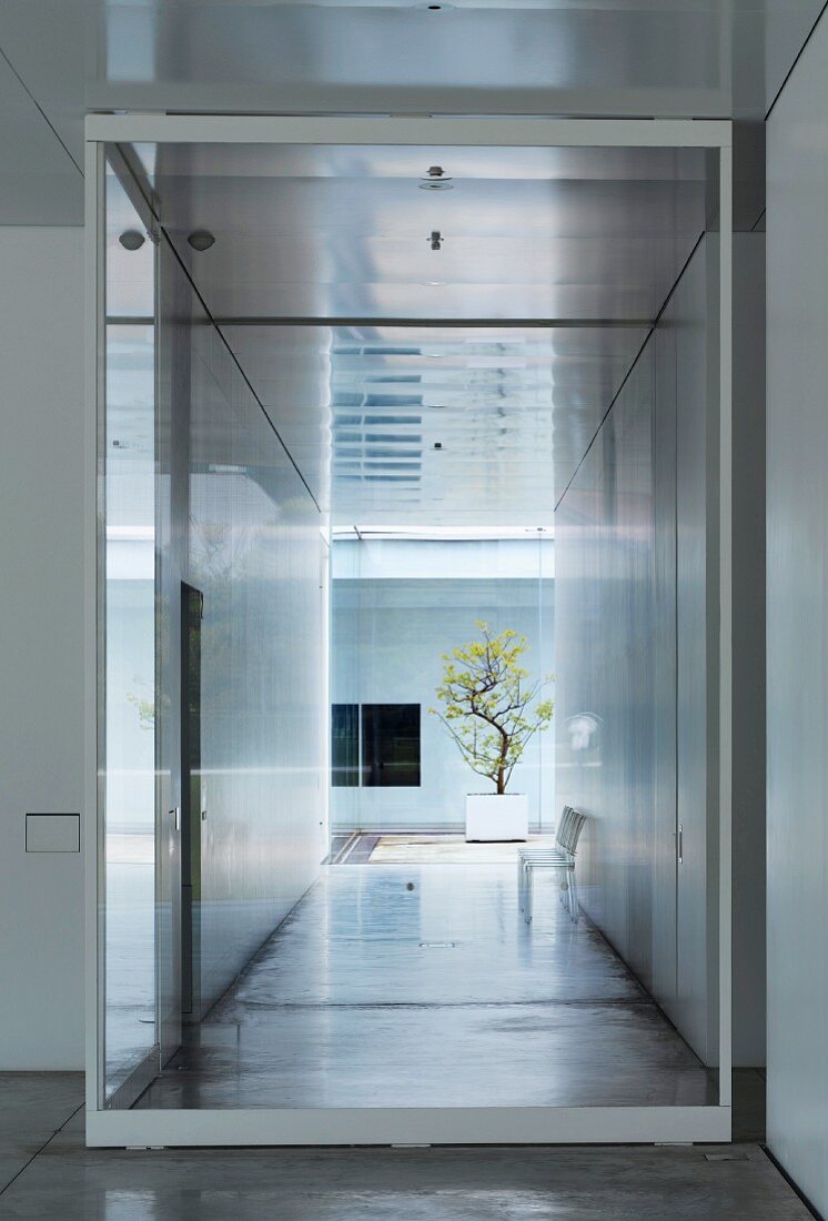 Glass-walled installation in corridor and view of potted tree in courtyard